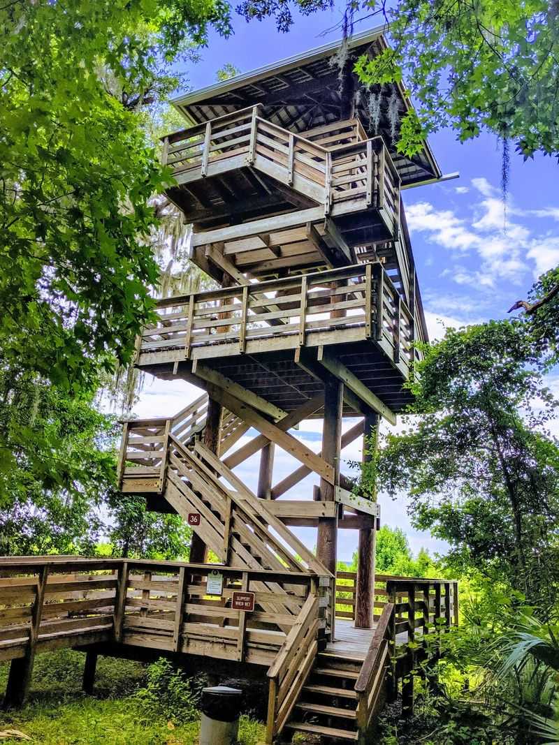 Hiking Trails for Every Skill Level