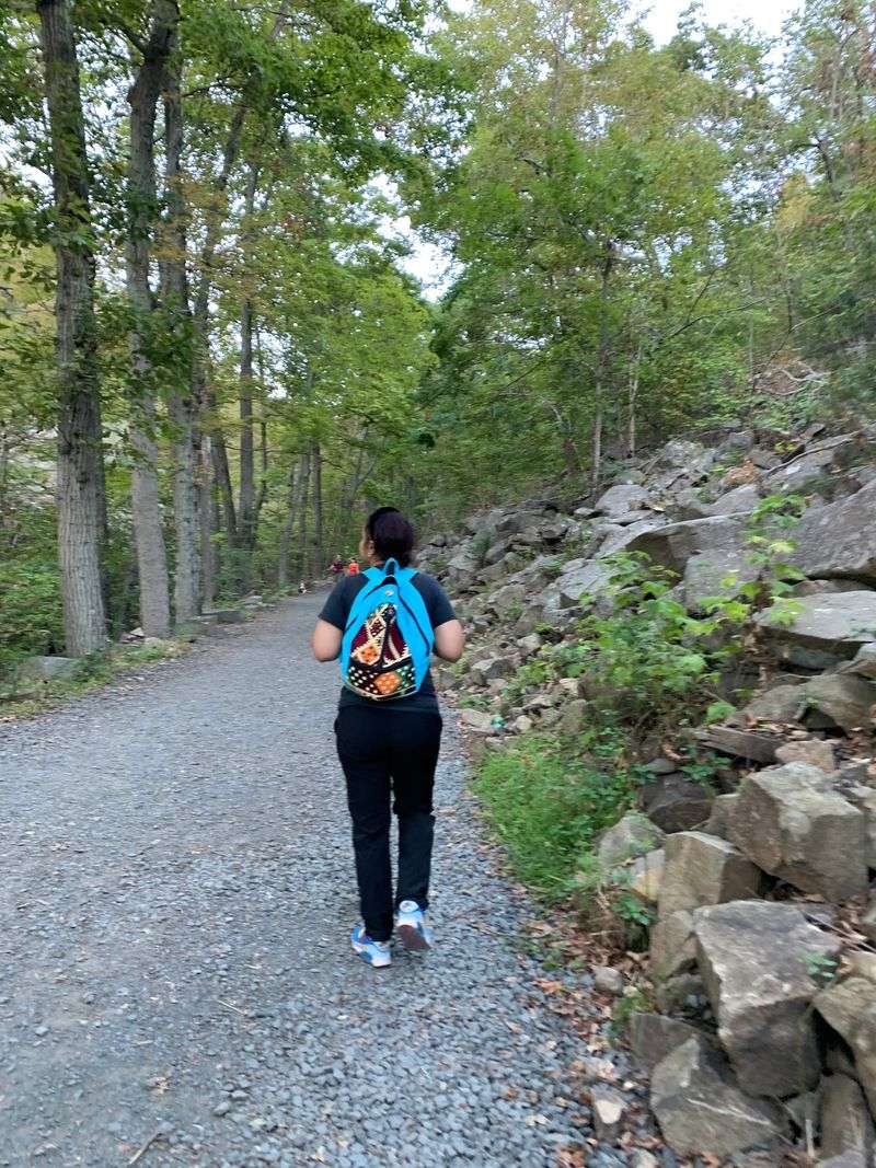 Hiking as a Workout and Fitness Routine Hiking as a Workout and Fitness Routine