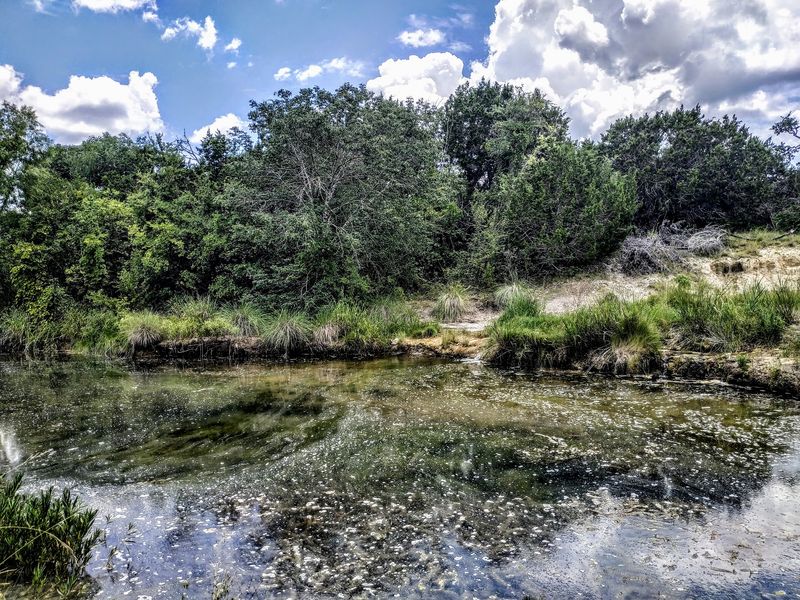 Hill Country State Natural Area, Bandera, Texas