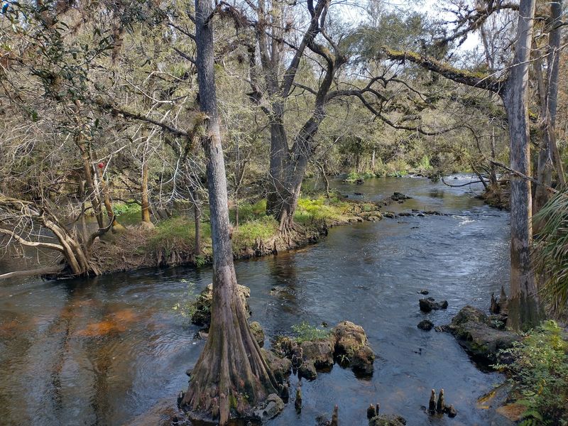 Hillsborough River State Park, Thonotosassa, Florida