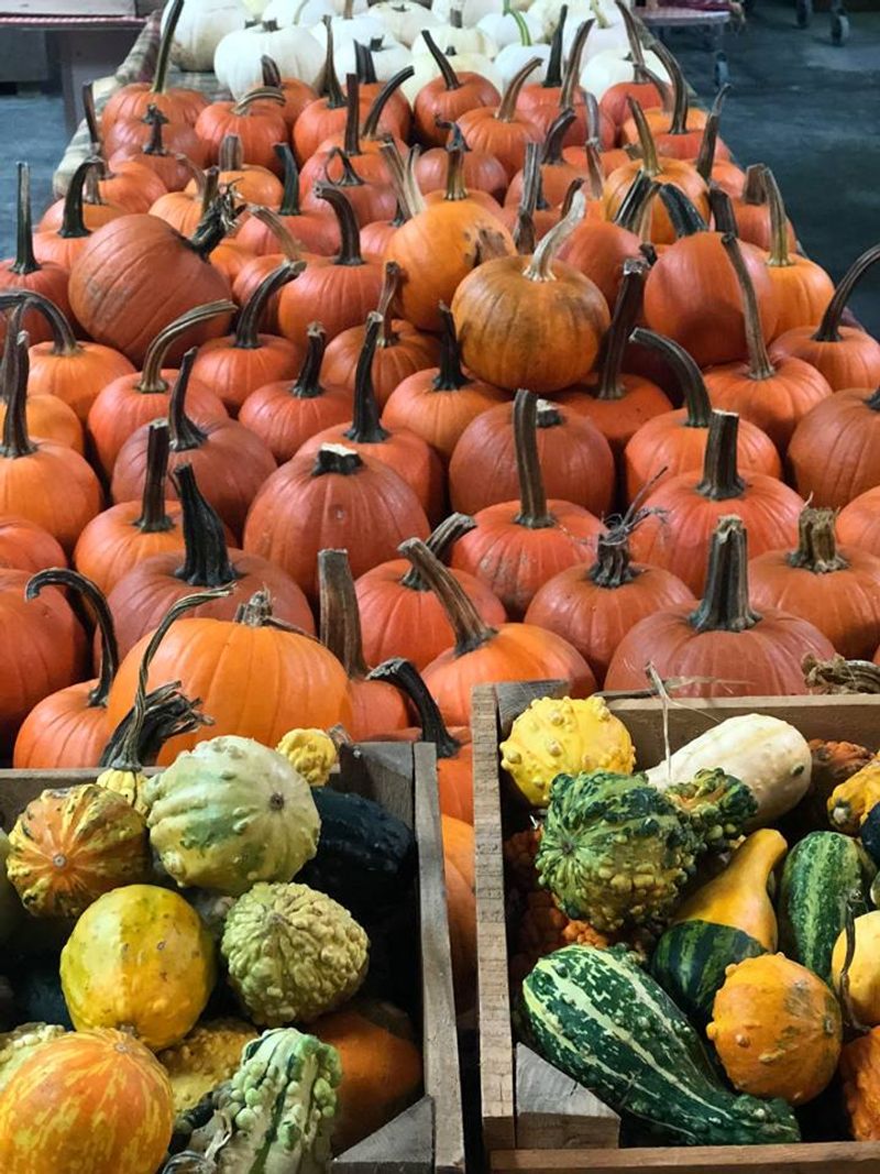 Historic West Side Farmers Market, Evansville, Indiana