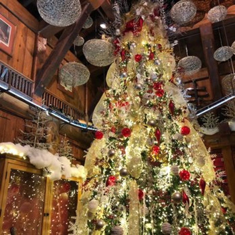 Holiday Decorations Worth The Trip