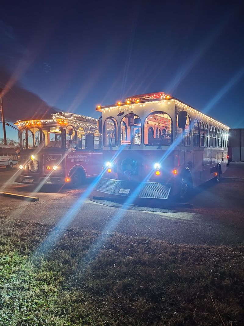 Holiday Lights Tours That Spread Pure Joy