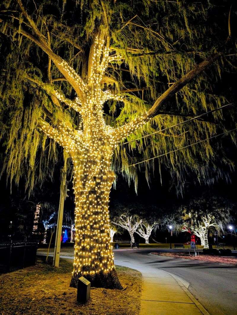 Holiday Lights Worth The Trip