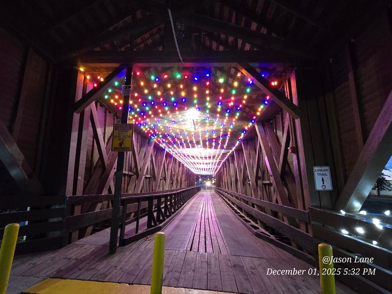 Holiday Lights and Seasonal Charm