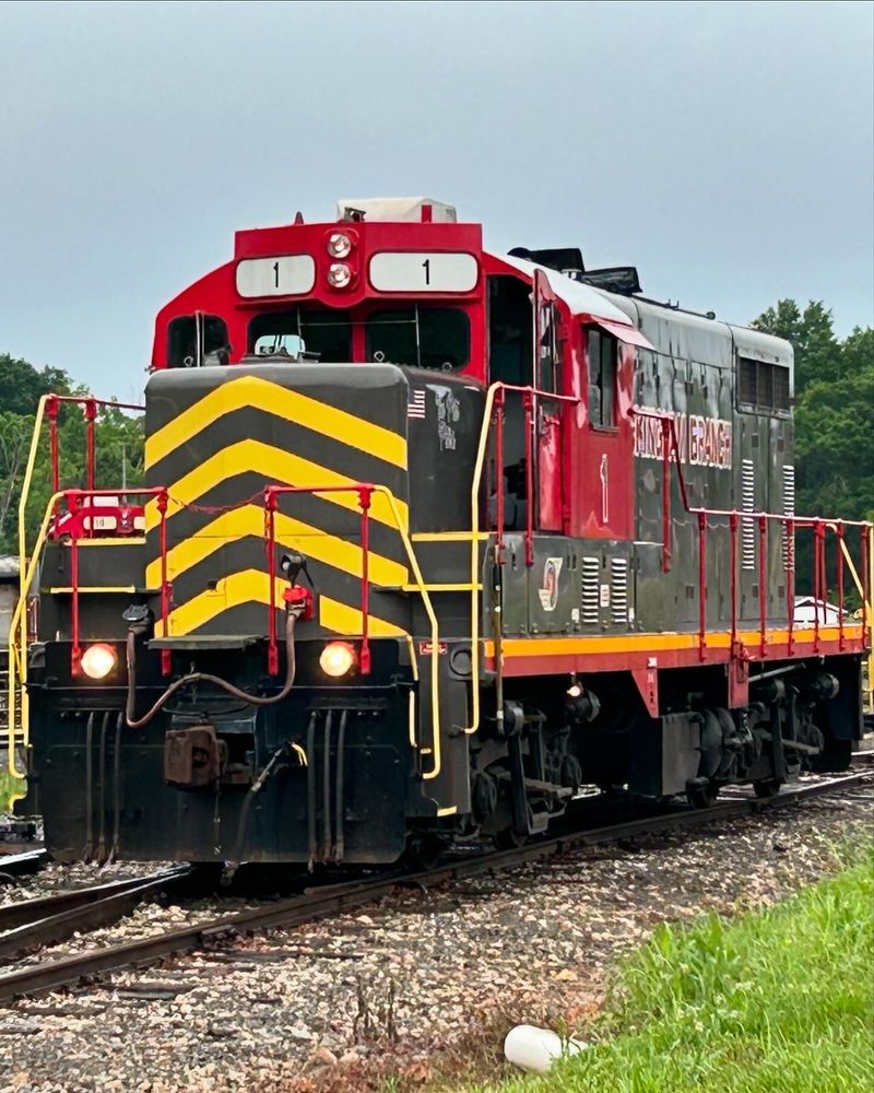 Holiday Trains And Special Runs