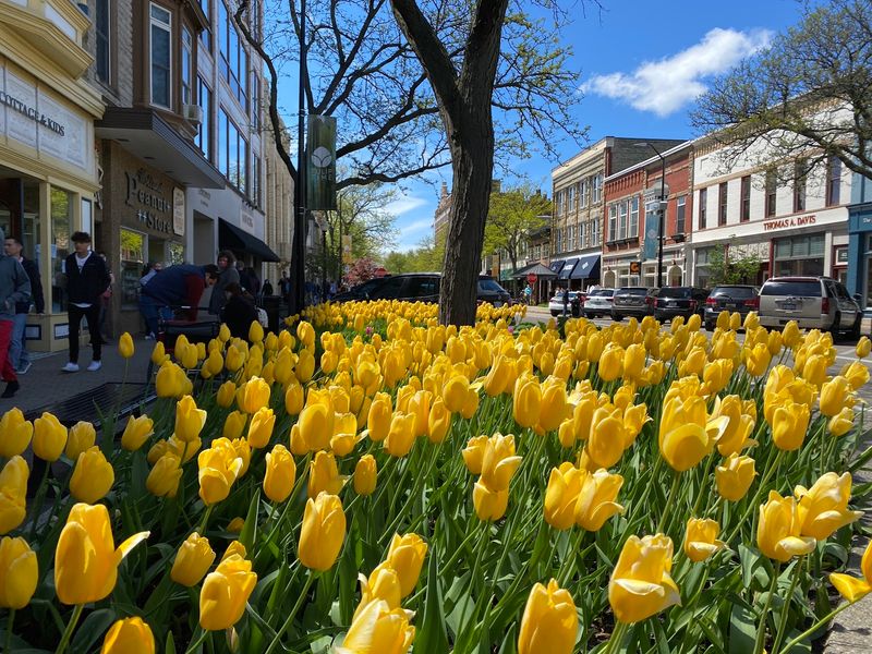 Holland, Michigan