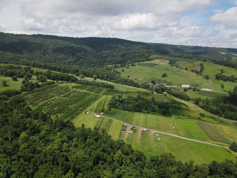 Hollin Farms, Delaplane, Virginia