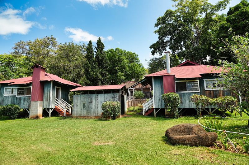 Homes From Many Homelands Homes From Many Homelands