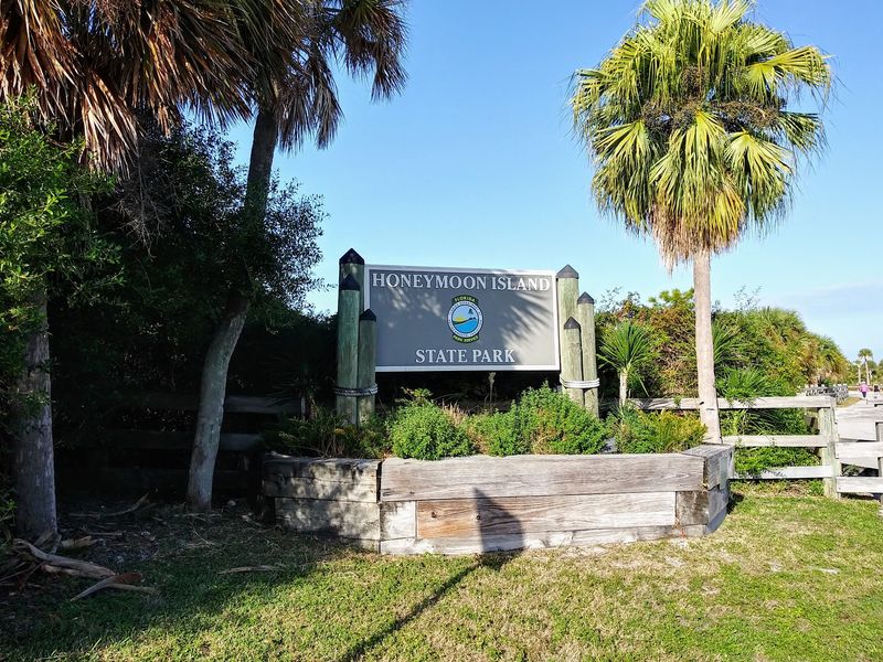 Honeymoon Island - Dunedin, Florida