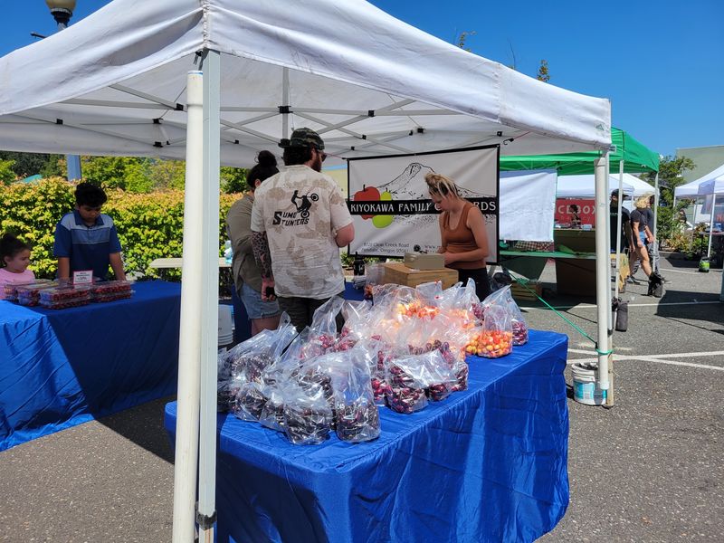 Hood River Farmers Market, Hood River, Oregon