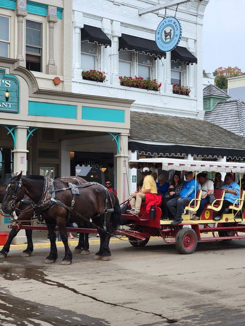 Horse Power Of The Old Fashioned Kind