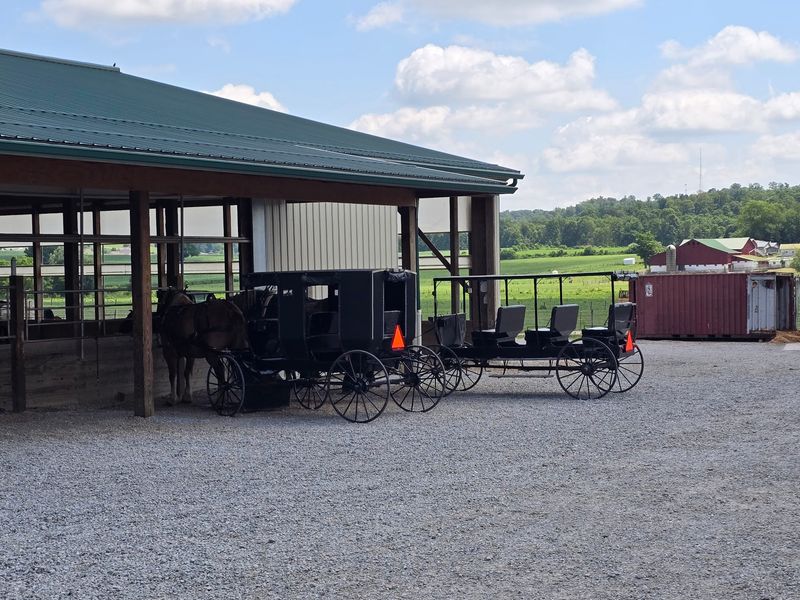 Horse and Buggy Rides Through Amish Country