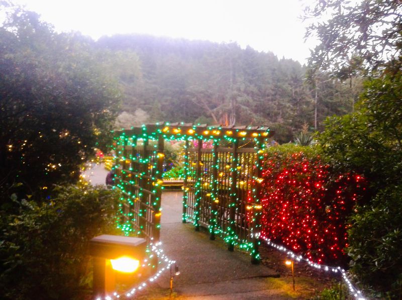 Hours, Fees, and Planning Your Visit Hours, Fees, and Planning Your Visit