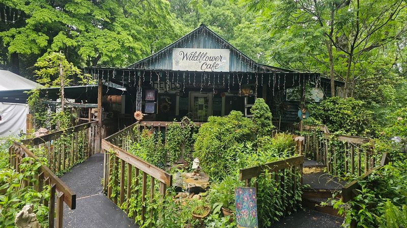 Hours, Prices, And Planning Your Visit