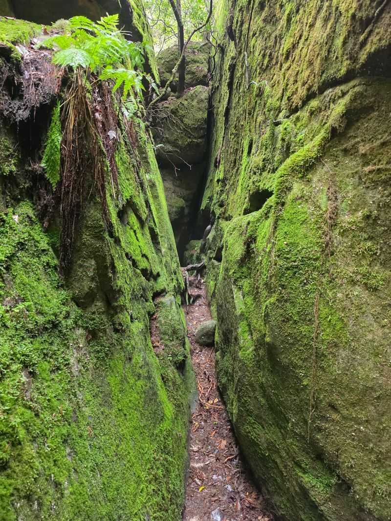How Tough Is The Trail Really