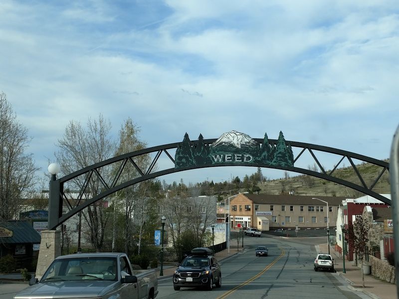 How a Lumber Town Got Its Curious Title