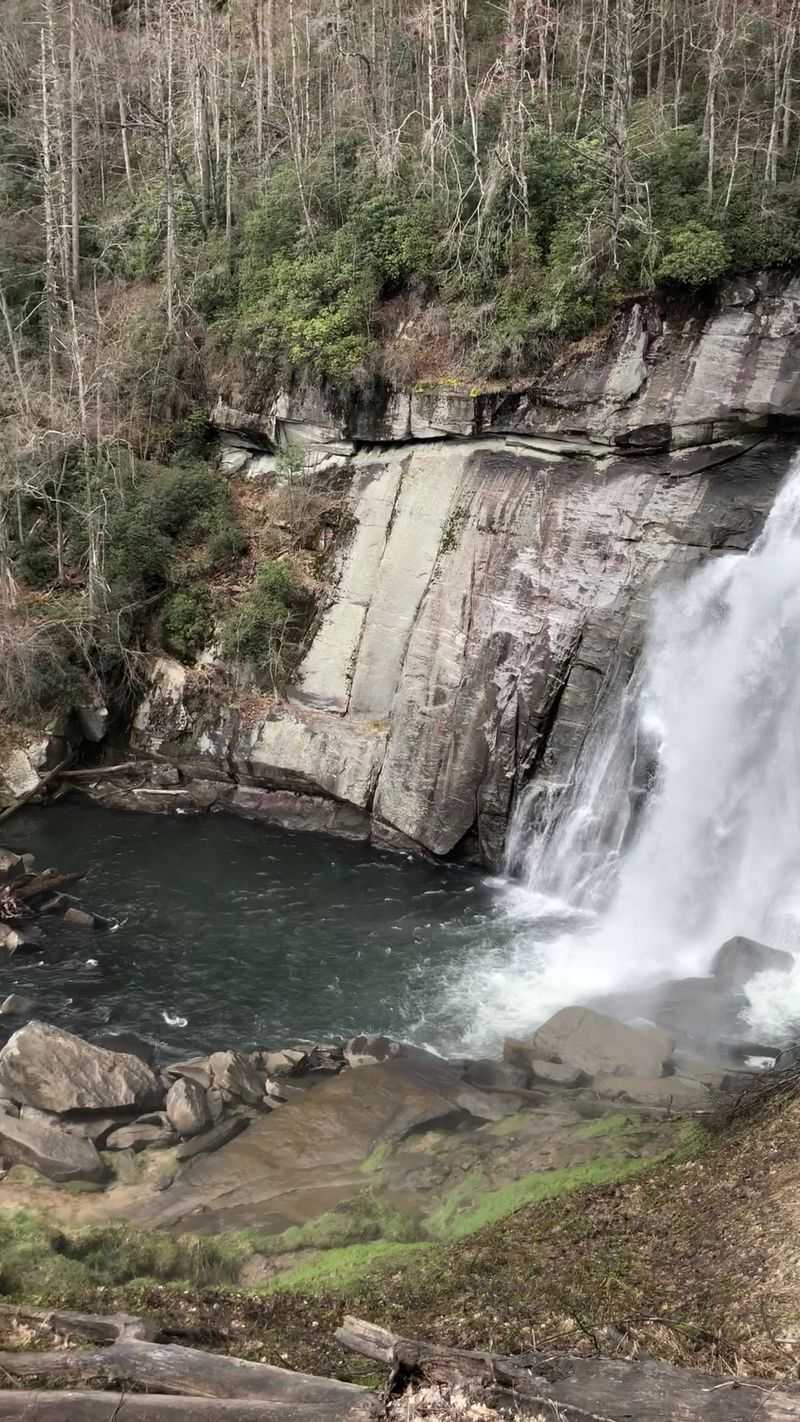 How a Wet Corner Became a Waterfall Kingdom How a Wet Corner Became a Waterfall Kingdom