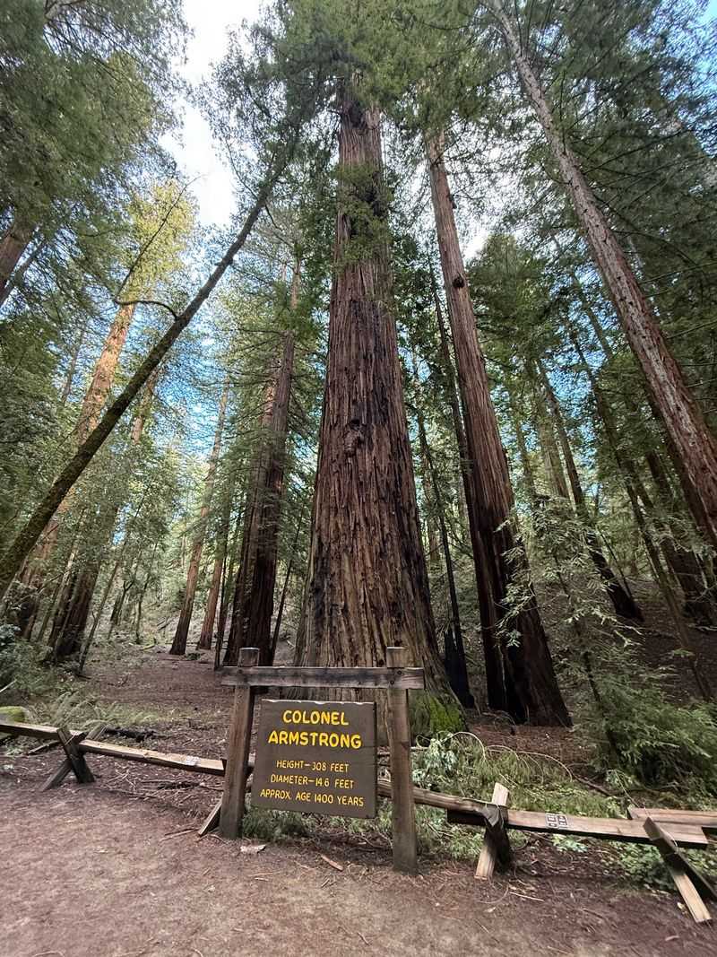 How the Reserve Got Its Name and Why It Matters