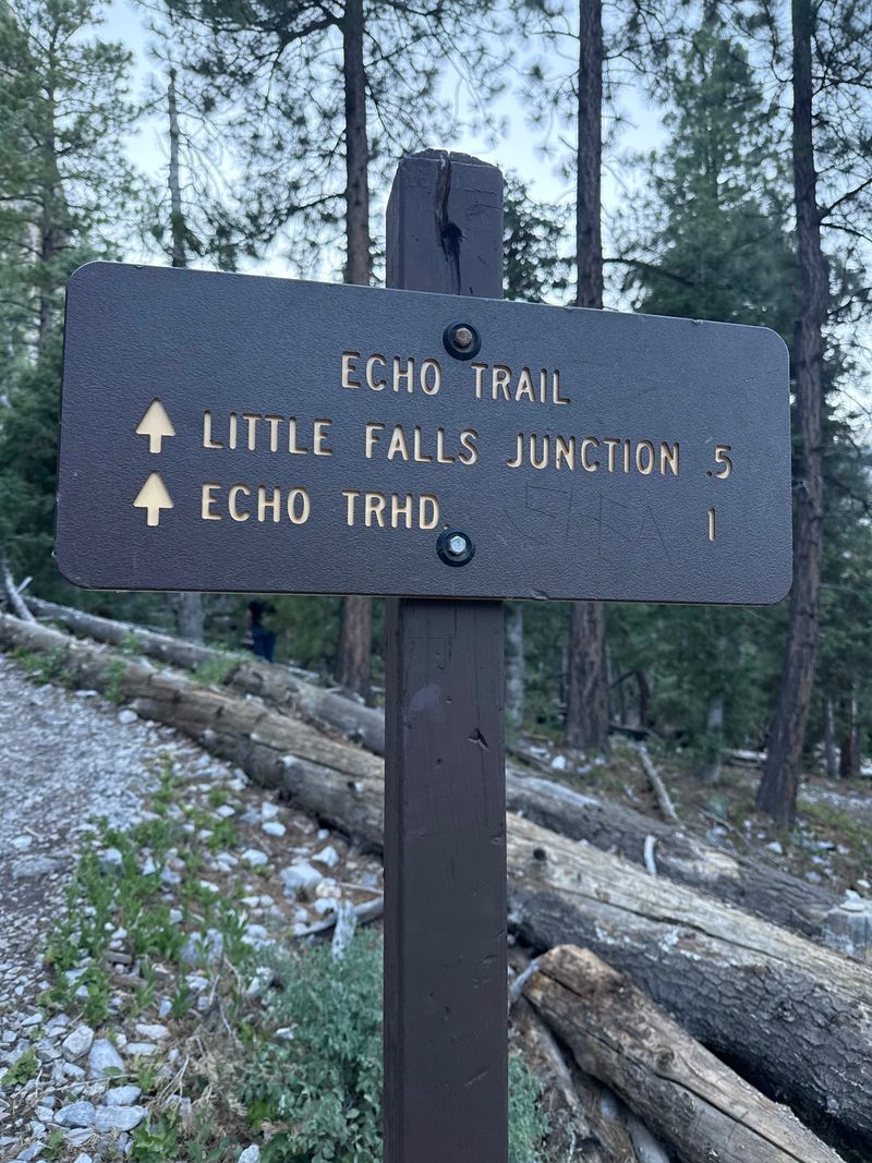 How the Spur Branches Off the Main Trail