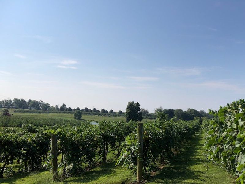 Huber's Orchard and Winery, Starlight, Indiana Huber's Orchard and Winery, Starlight, Indiana