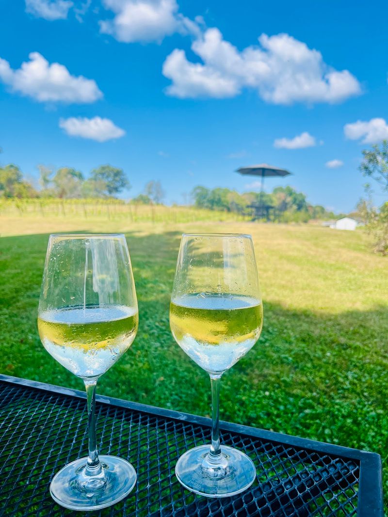 Hudson Chatham Winery Tasting Options in the Hudson Valley