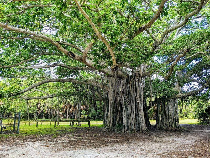 Hugh Taylor Birch State Park - Fort Lauderdale, Florida