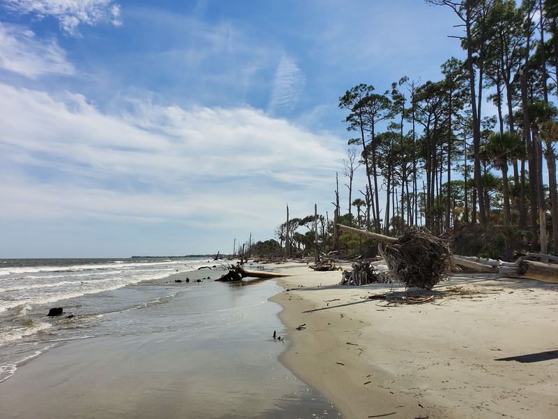 Hunting Island State Park Beach Trek