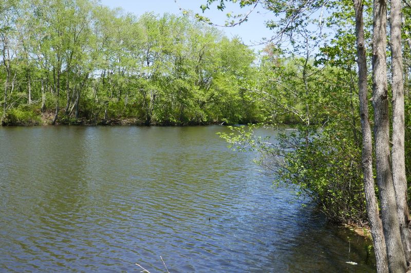 Idylwild Wildlife Management Area Nearby