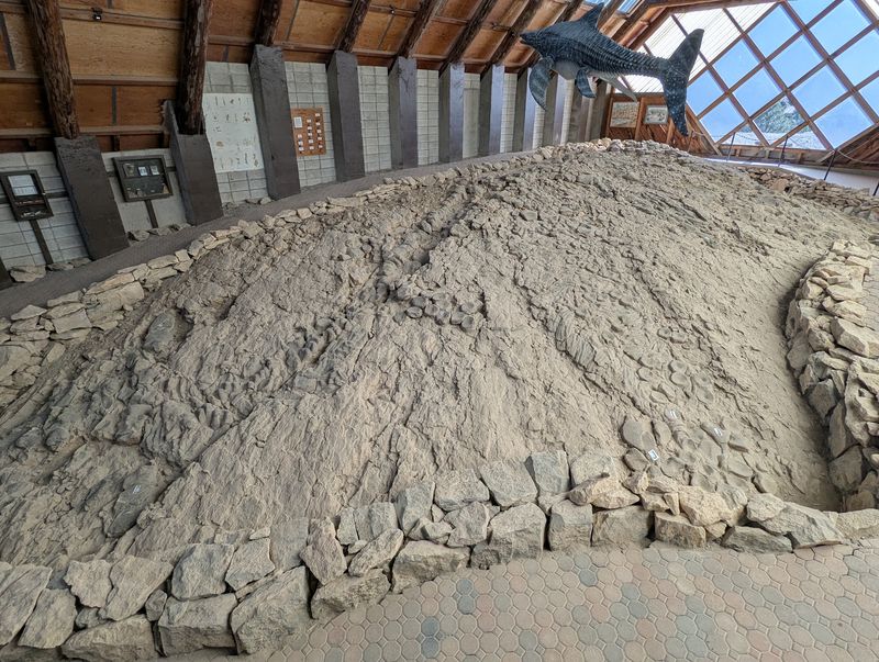Inside The Fossil House