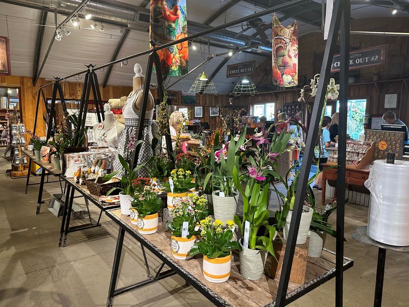 Inside The Red Barn Market
