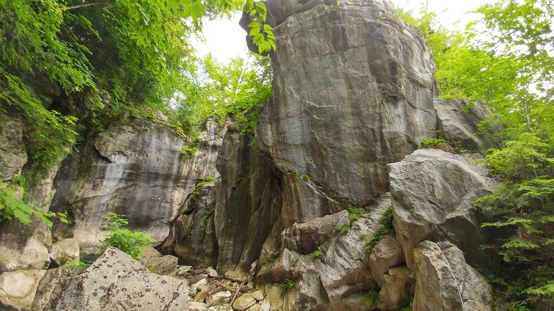 Inside the Abandoned Quarry Inside the Abandoned Quarry