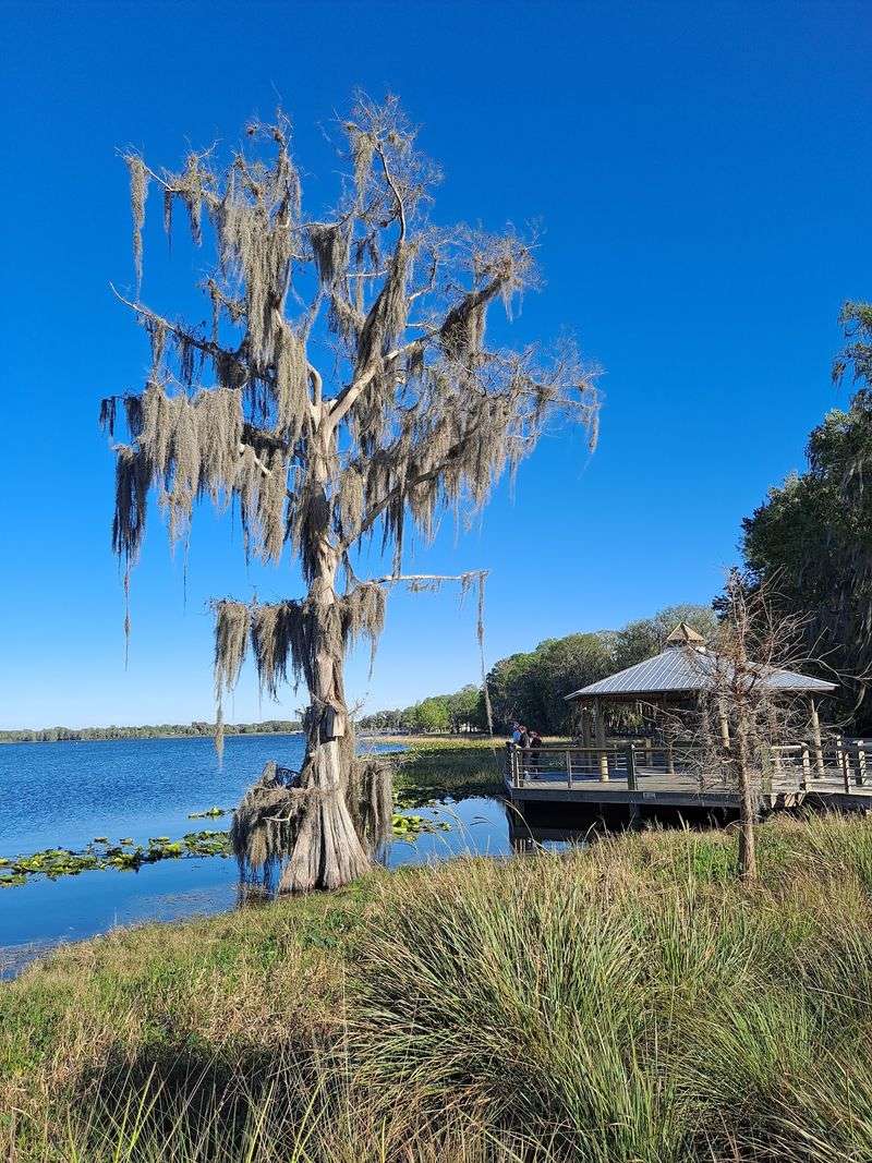 Inverness - Florida