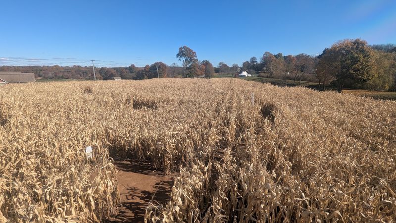 Is This Fall Stop Worth The Drive