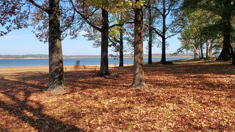 It Anchors a Full State Park