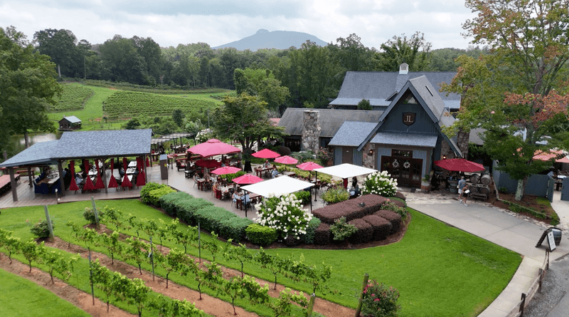 JOLO Winery and Vineyards, Pilot Mountain, NC JOLO Winery and Vineyards, Pilot Mountain, NC