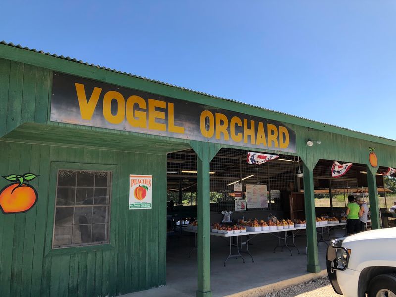 Jamey Vogel Orchard and Das Peach Haus, Fredericksburg