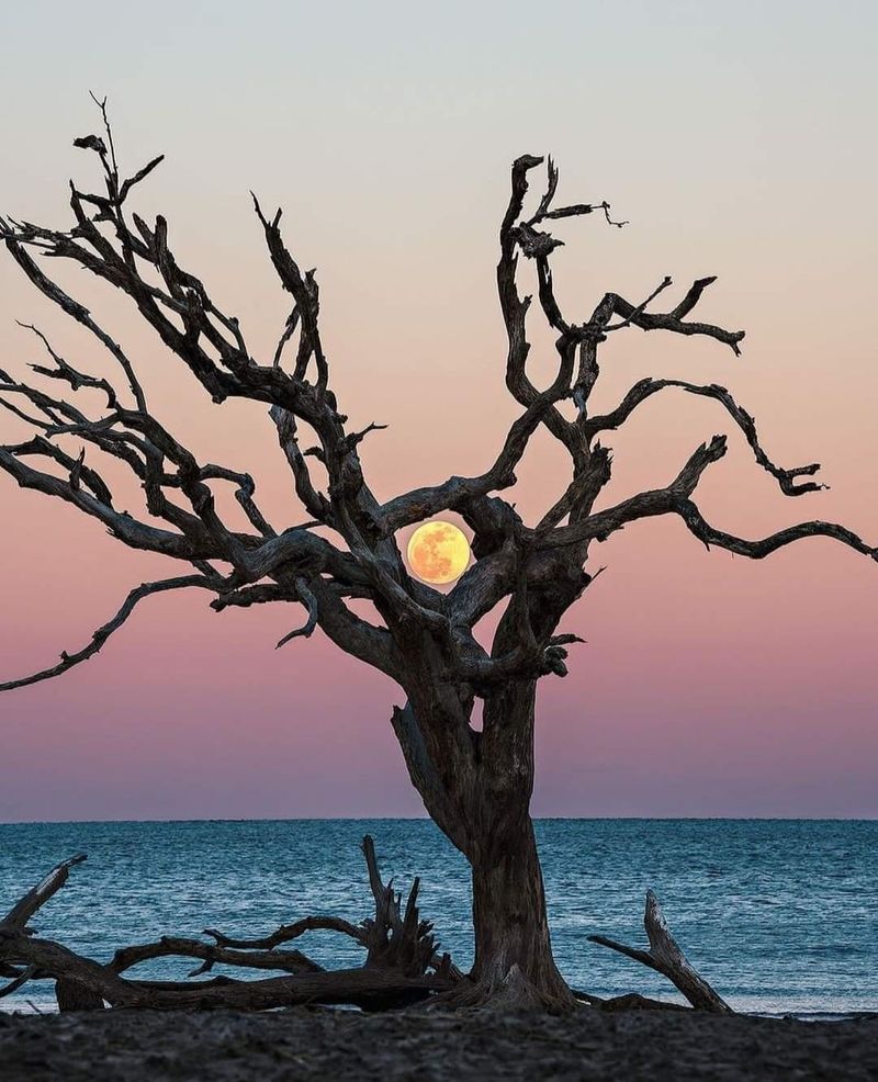 Jekyll Island, Georgia Jekyll Island, Georgia