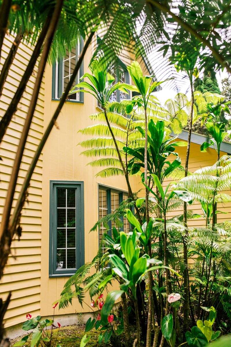 Jurassic-Sized Ferns and Tropical Gardens