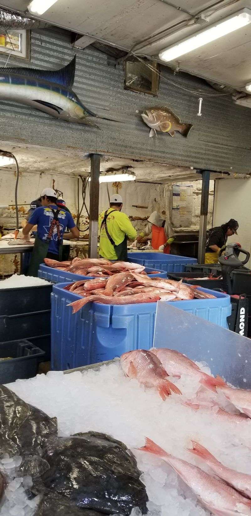 Katie's Seafood Market, Galveston, Texas