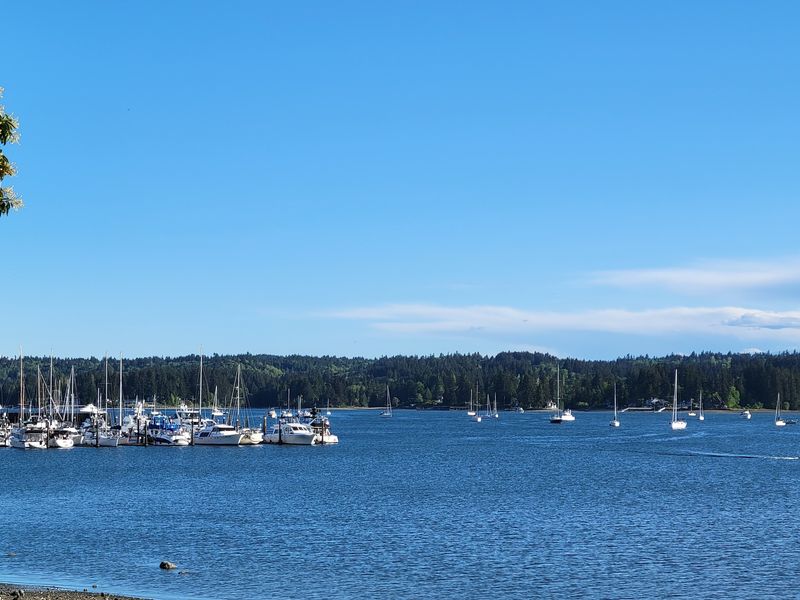 Kayaking Liberty Bay: Paddle Through Peaceful Waters Kayaking Liberty Bay: Paddle Through Peaceful Waters