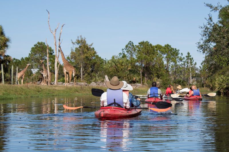 Kayaking Past Zebras and Giraffes