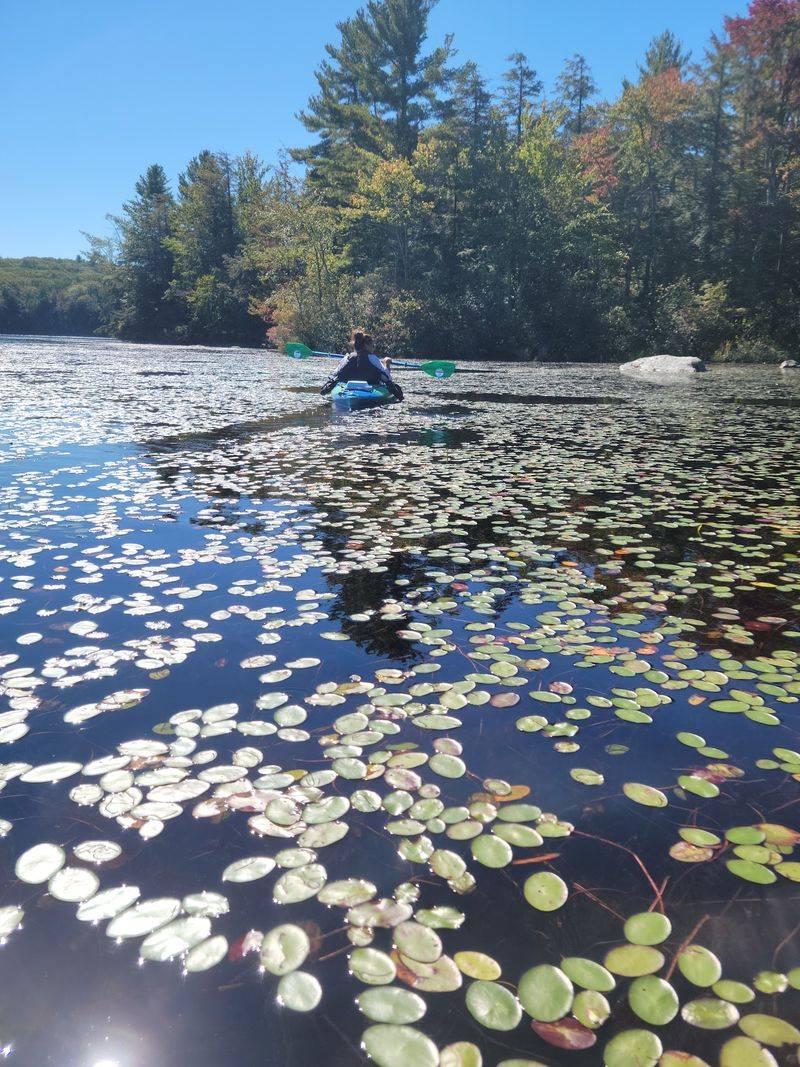 Kayaks, Canoes, And Quiet Paddling