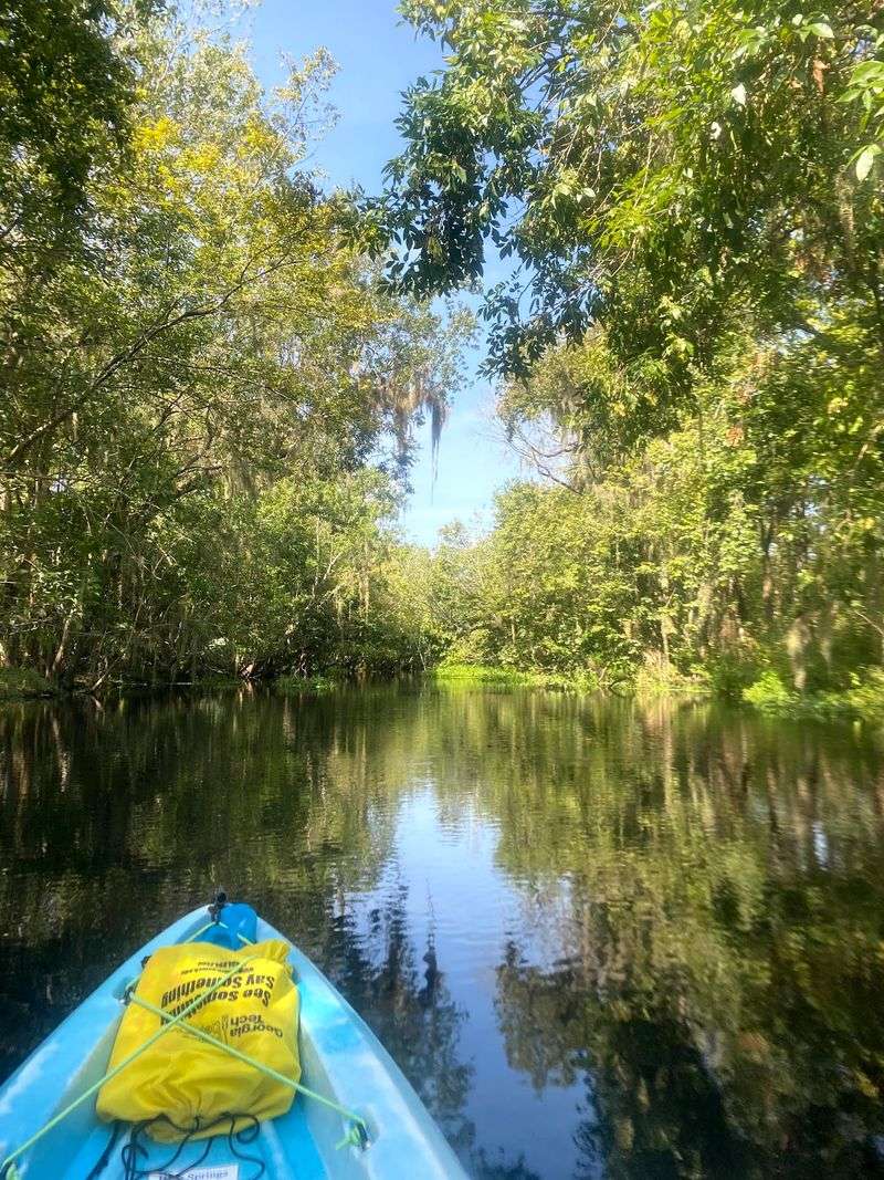 Kayaks, Canoes, and Tubes for Every Water Lover