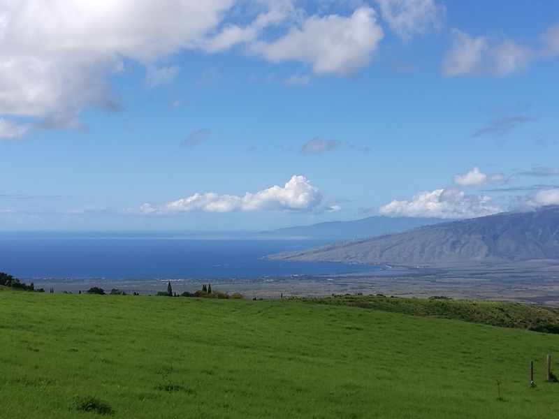 Kula, Maui, Hawaii