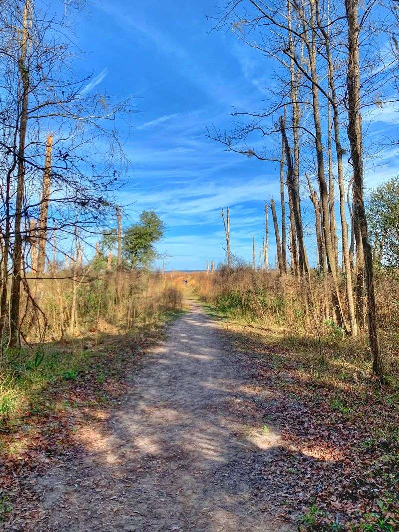 La Chua Trail Adventure