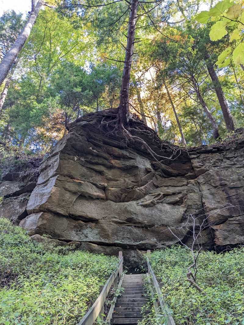Ladders That Turn Hiking Into Adventure