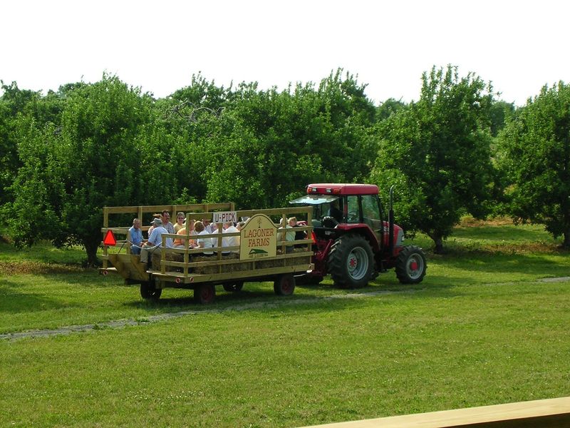 Lagoner Farms, Williamson, NY