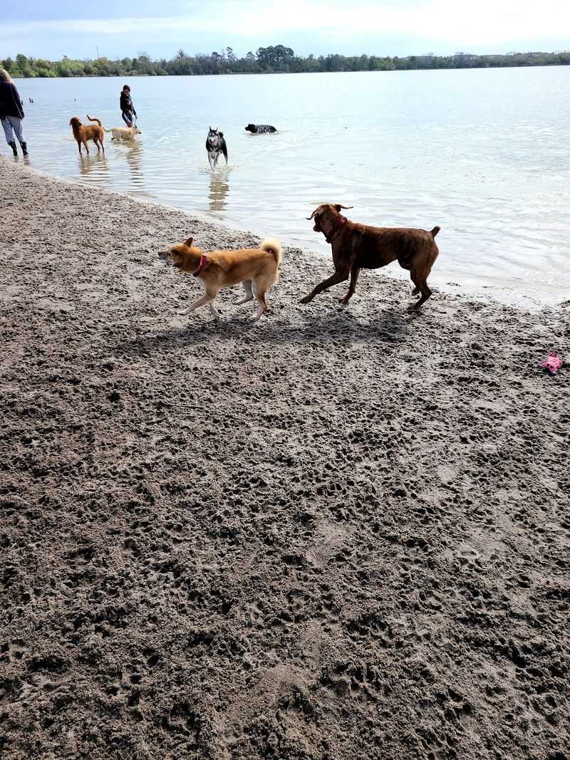 Lake Baldwin Dog Park - Winter Park, Florida
