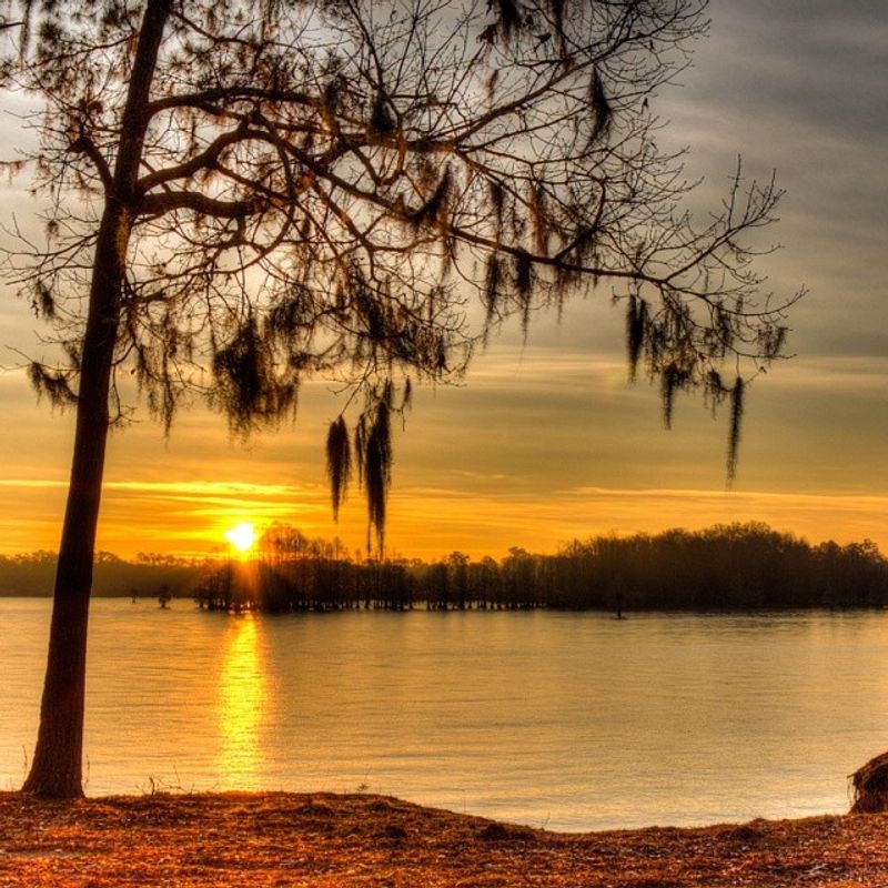 Lake Marion Fish Camp, Santee